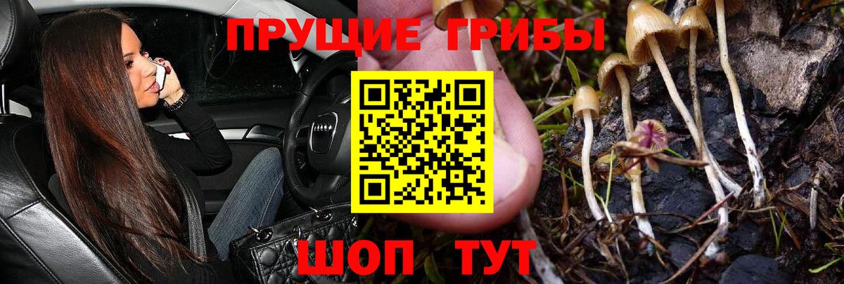 Псилоцибиновые грибы мухоморы  Галлюциногенные грибы Psilocybe  Семёнов  Вход с VPN 